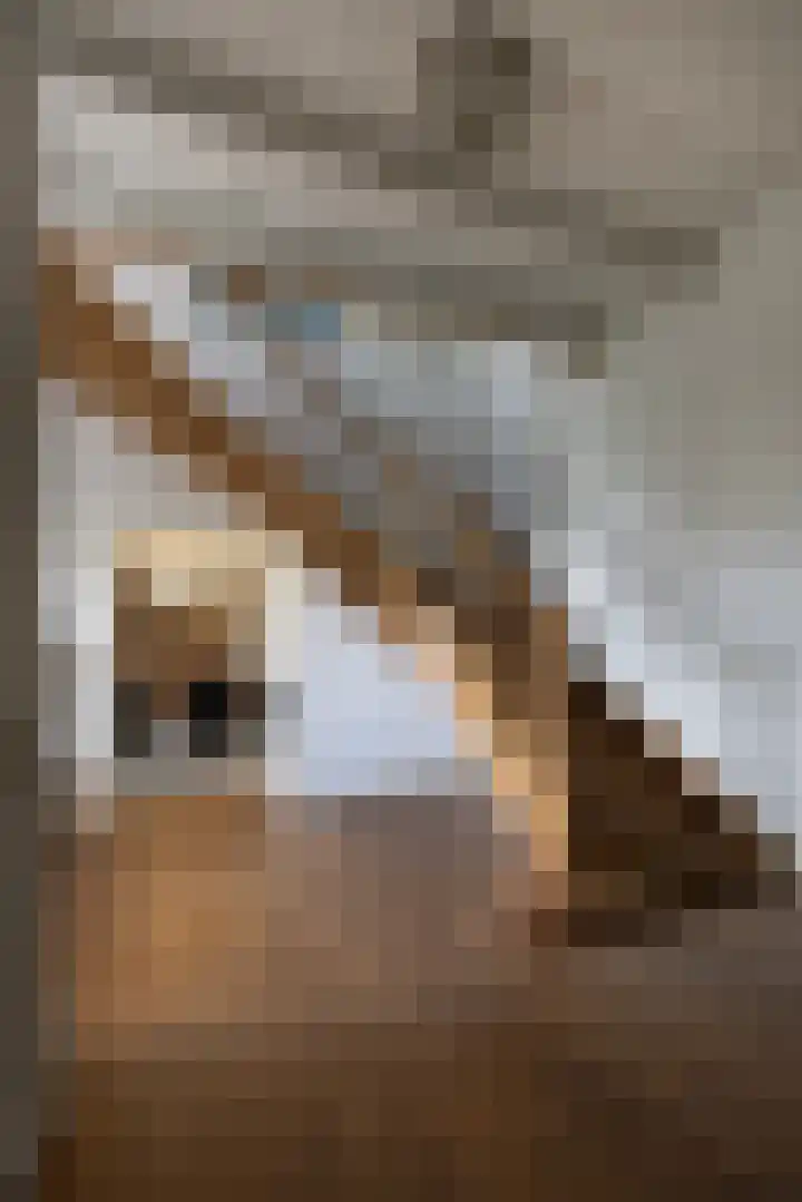 Horstlaan 3 Elsloo thumbnail 4