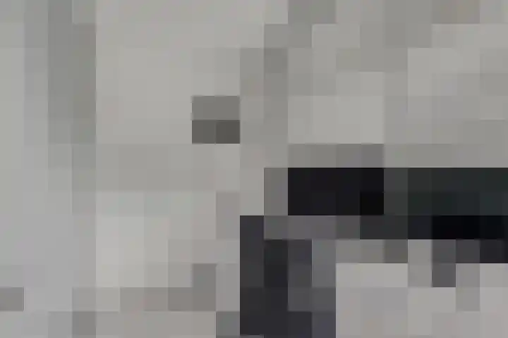 Horstlaan 3 Elsloo thumbnail 40