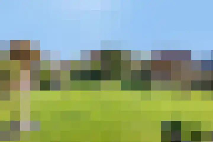 Horstlaan 3 Elsloo thumbnail 41