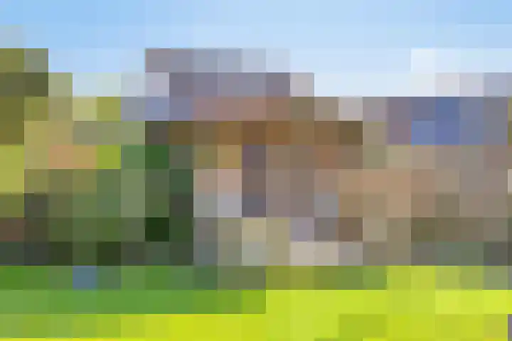 Horstlaan 3 Elsloo thumbnail 43