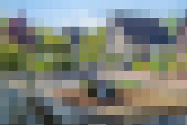 Horstlaan 3 Elsloo thumbnail 49