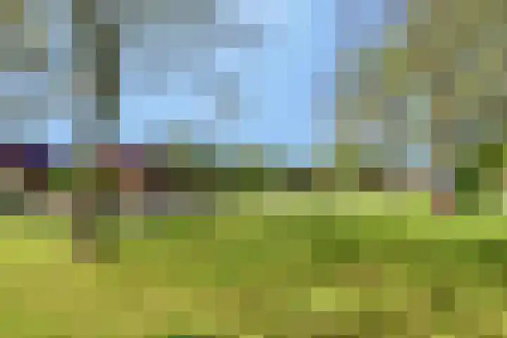Horstlaan 3 Elsloo thumbnail 53