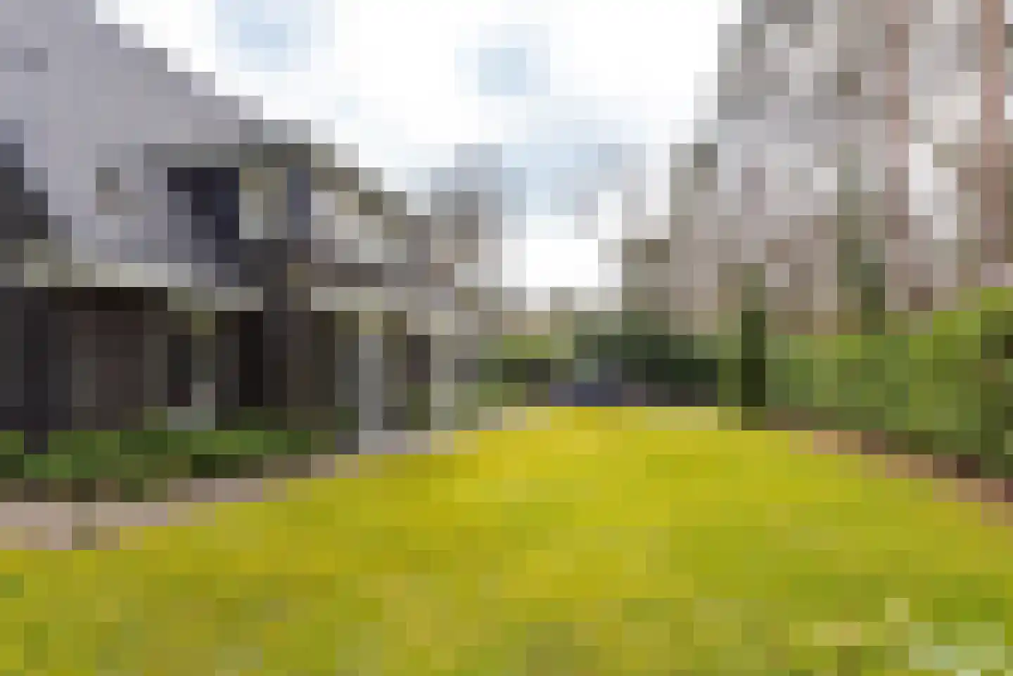 Horstlaan 34 Driebergen-Rijsenburg thumbnail 44