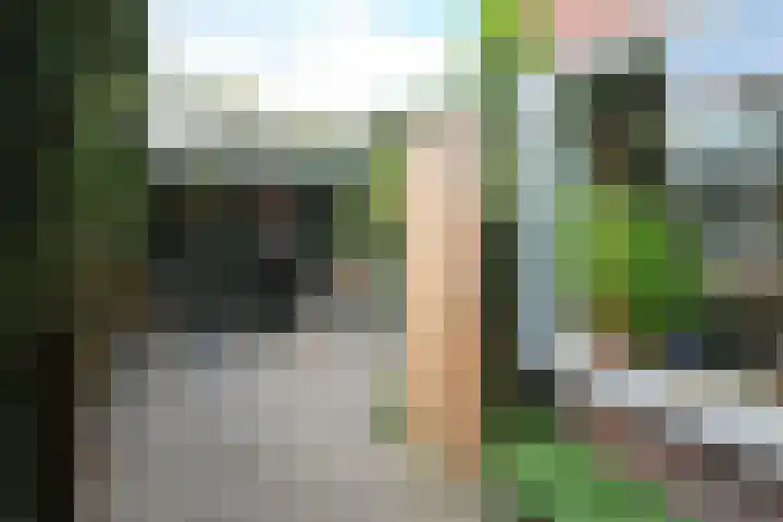 Horstlaan 38 Almelo thumbnail 30