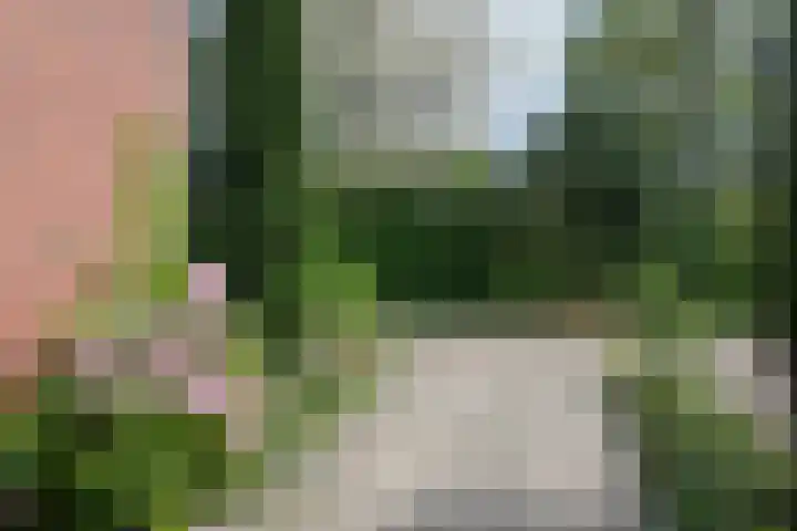 Horstlaan 38 Almelo thumbnail 31