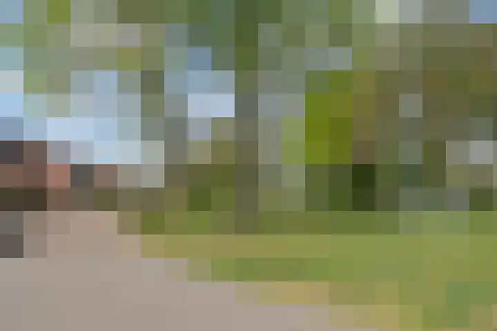 Horstlaan 38 Almelo thumbnail 32