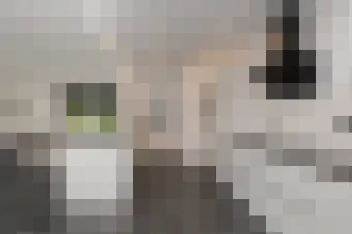 Horstlaan 44 Almelo thumbnail 12
