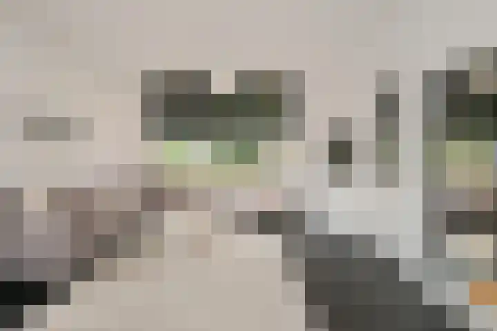 Horstlaan 44 Almelo thumbnail 6