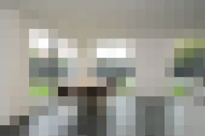 Horstlaan 44 Almelo thumbnail 9