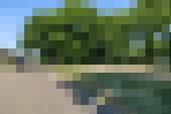 Horstlaan 46 Almelo thumbnail 25