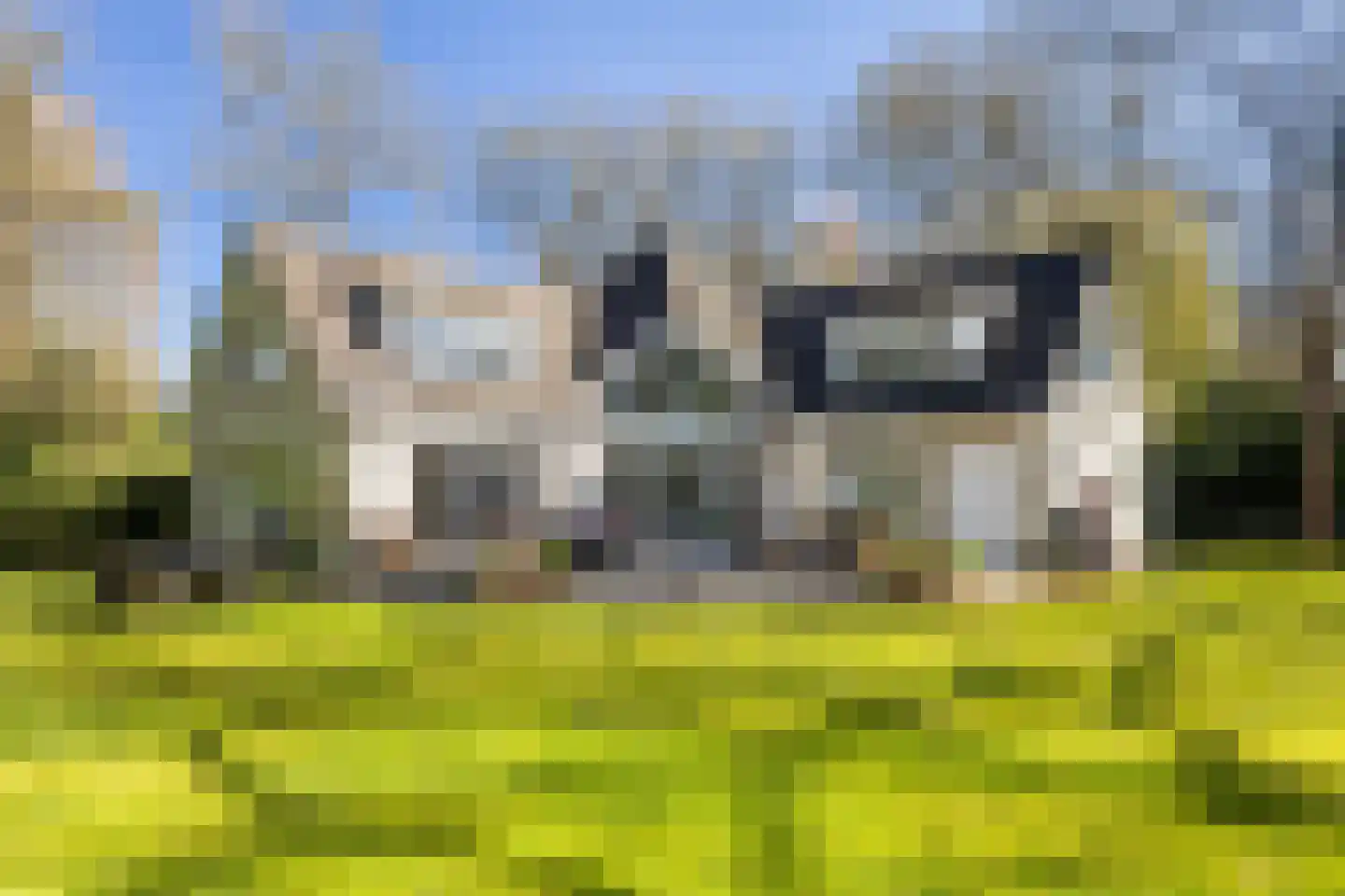 Horstlaan 6 a Driebergen-Rijsenburg