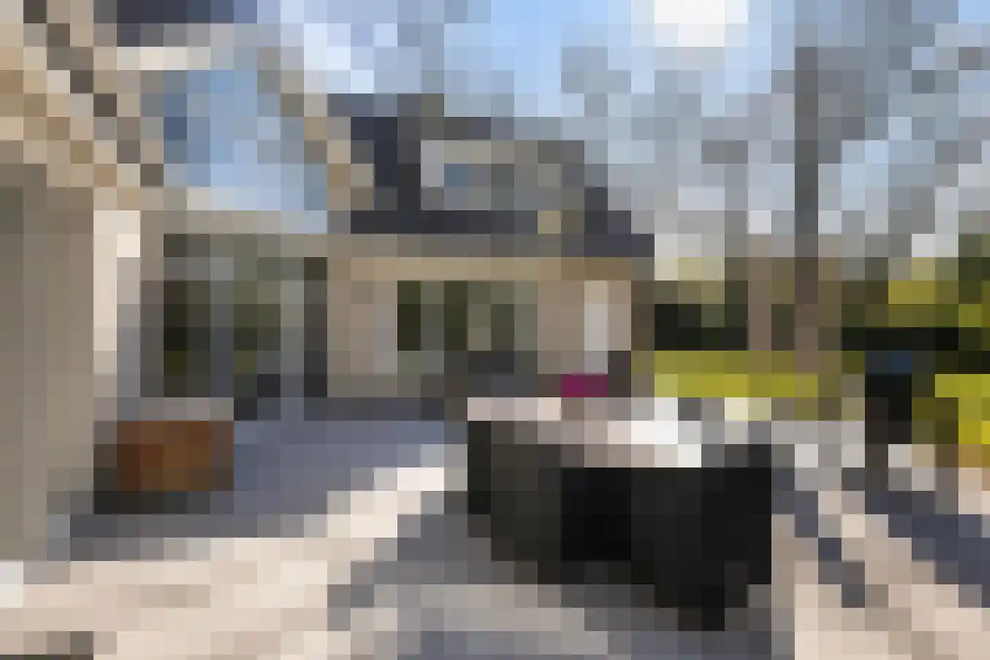 Horstlaan 6 a Driebergen-Rijsenburg thumbnail 19