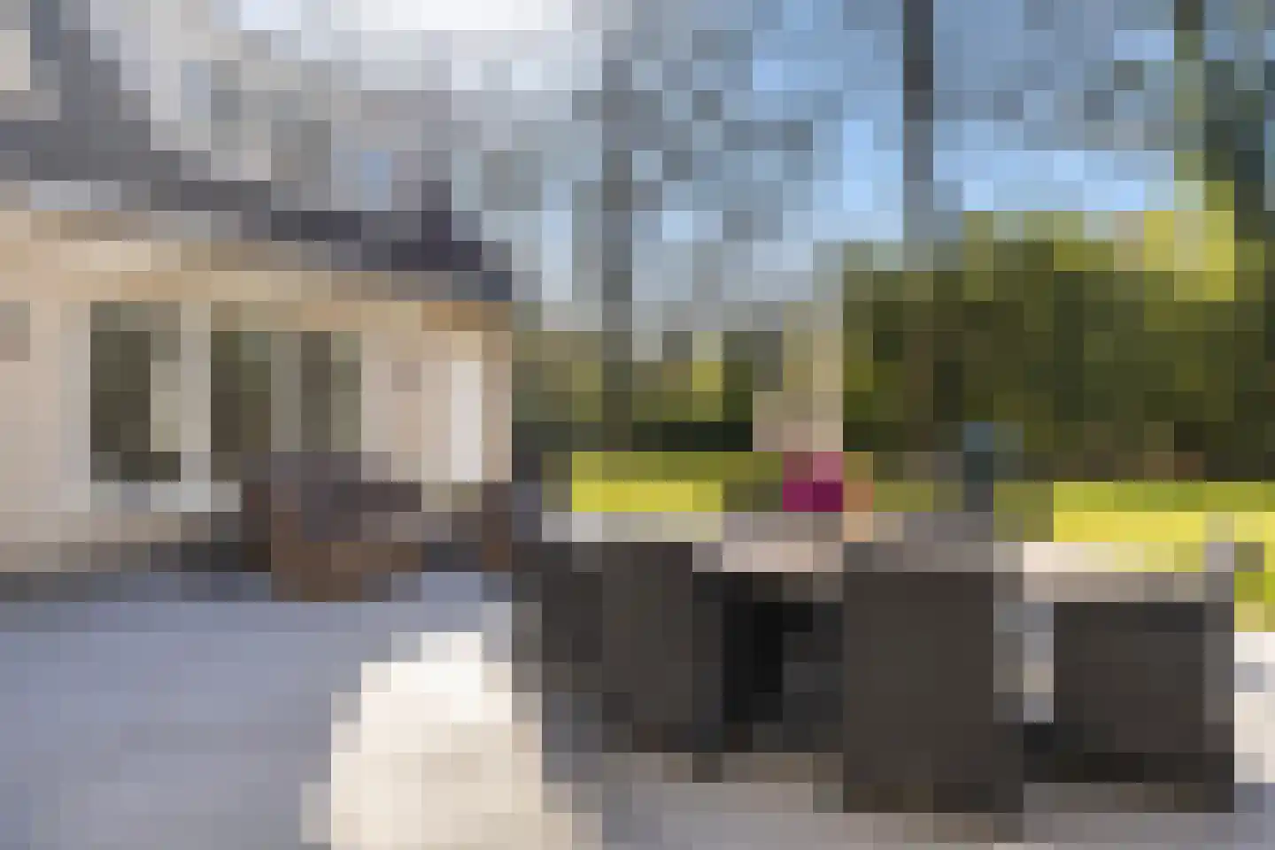 Horstlaan 6 a Driebergen-Rijsenburg thumbnail 20