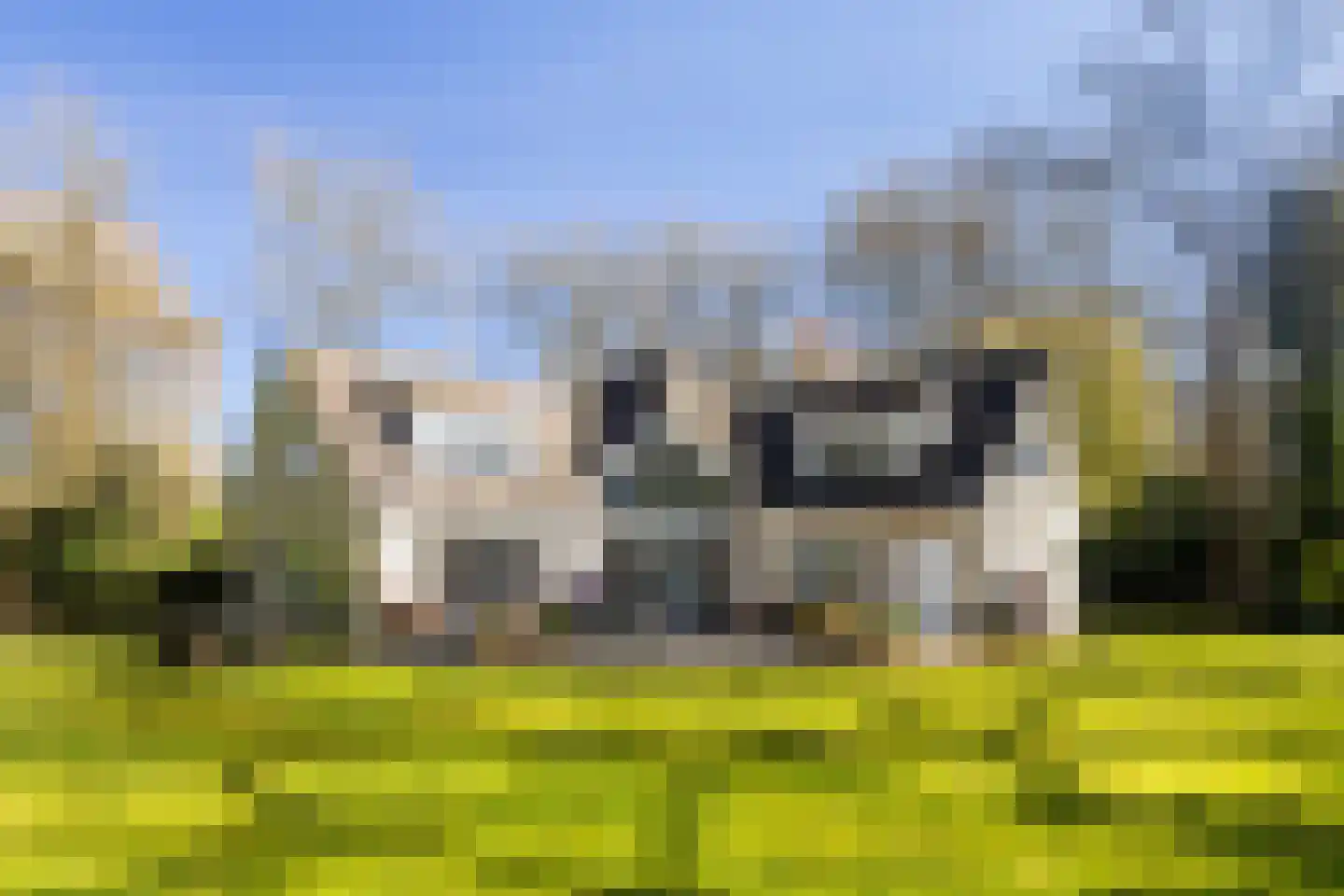Horstlaan 6 a Driebergen-Rijsenburg thumbnail 23