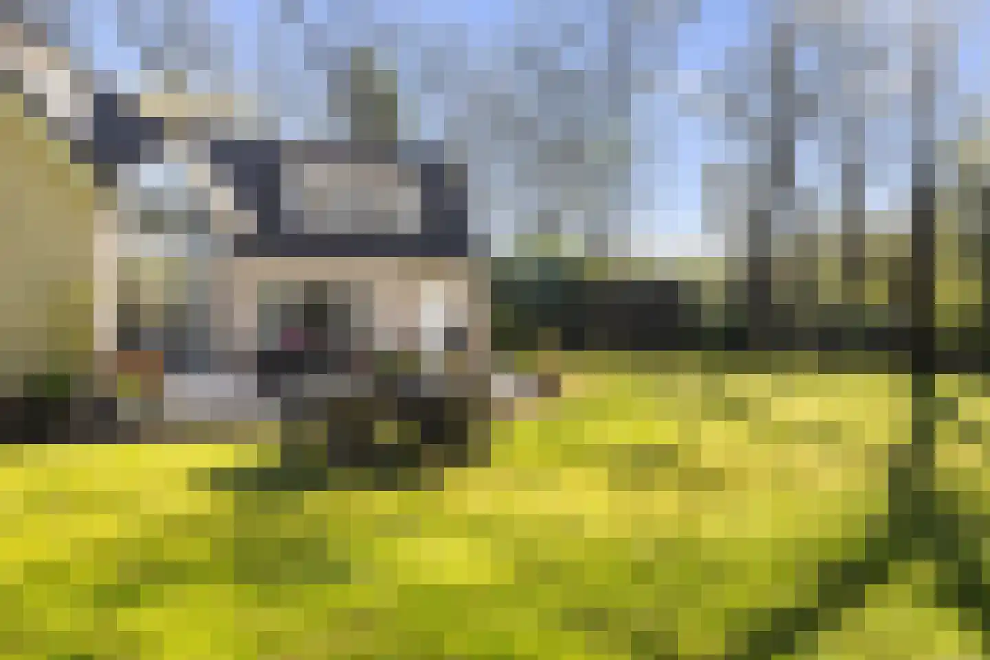 Horstlaan 6 a Driebergen-Rijsenburg thumbnail 24