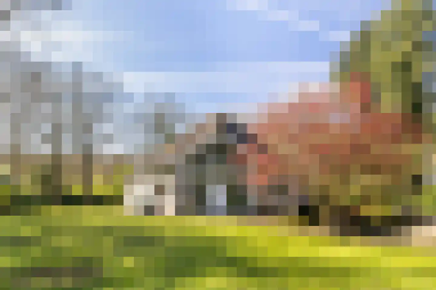 Horstlaan 6 a Driebergen-Rijsenburg thumbnail 29