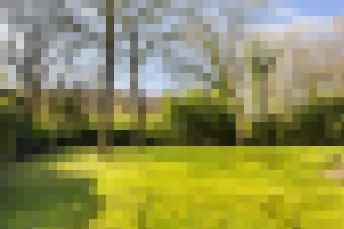 Horstlaan 6 a Driebergen-Rijsenburg thumbnail 30
