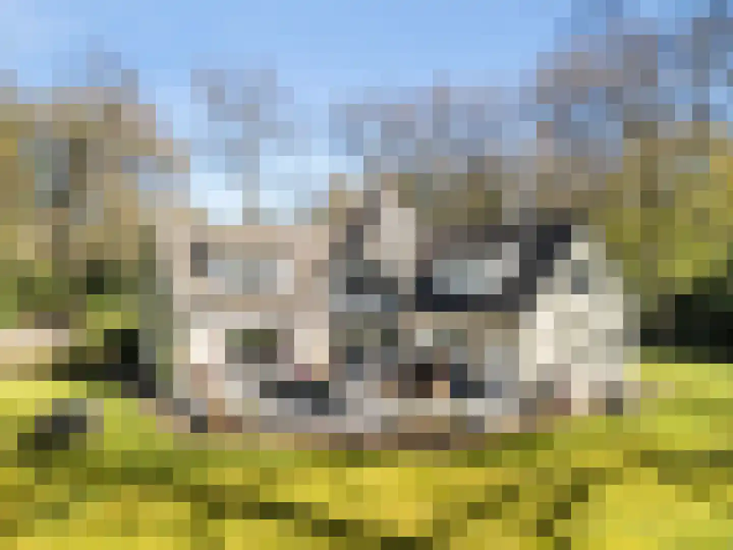 Horstlaan 6 a Driebergen-Rijsenburg thumbnail 54