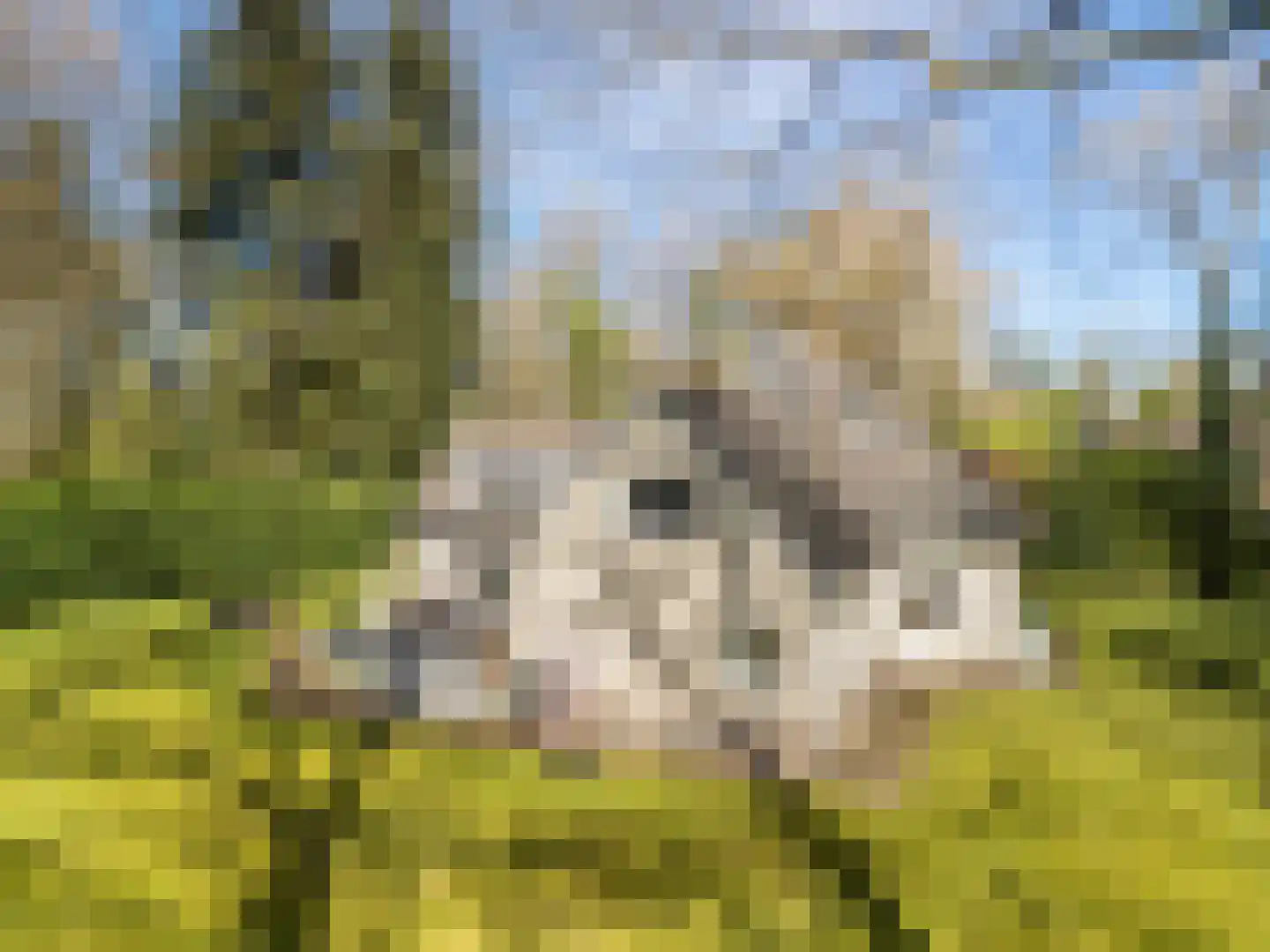 Horstlaan 6 a Driebergen-Rijsenburg thumbnail 55