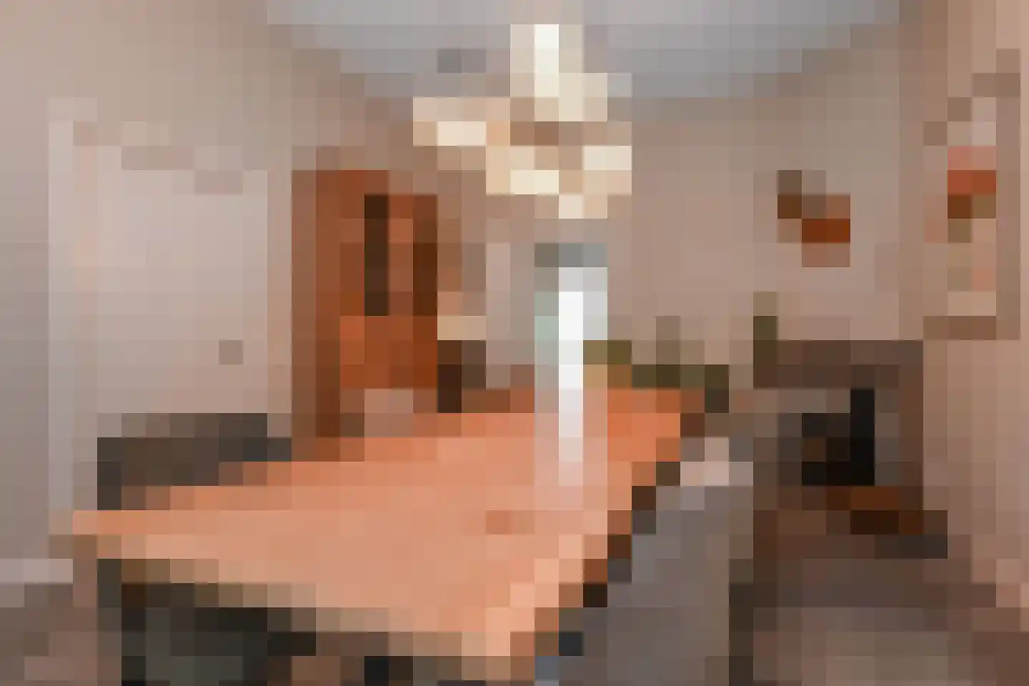 Horstlaan 6 Voorschoten thumbnail 16