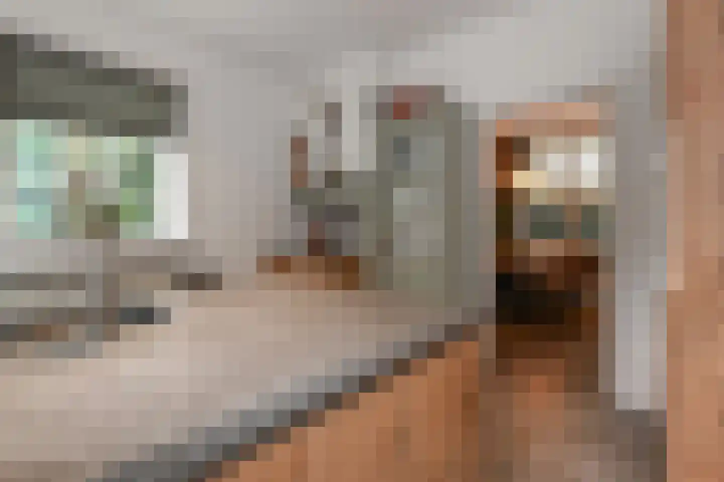 Horstlaan 6 Voorschoten thumbnail 19