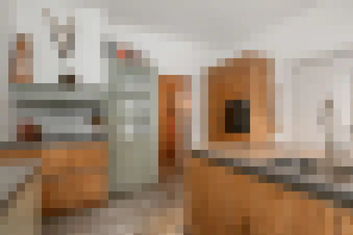 Horstlaan 6 Voorschoten thumbnail 20