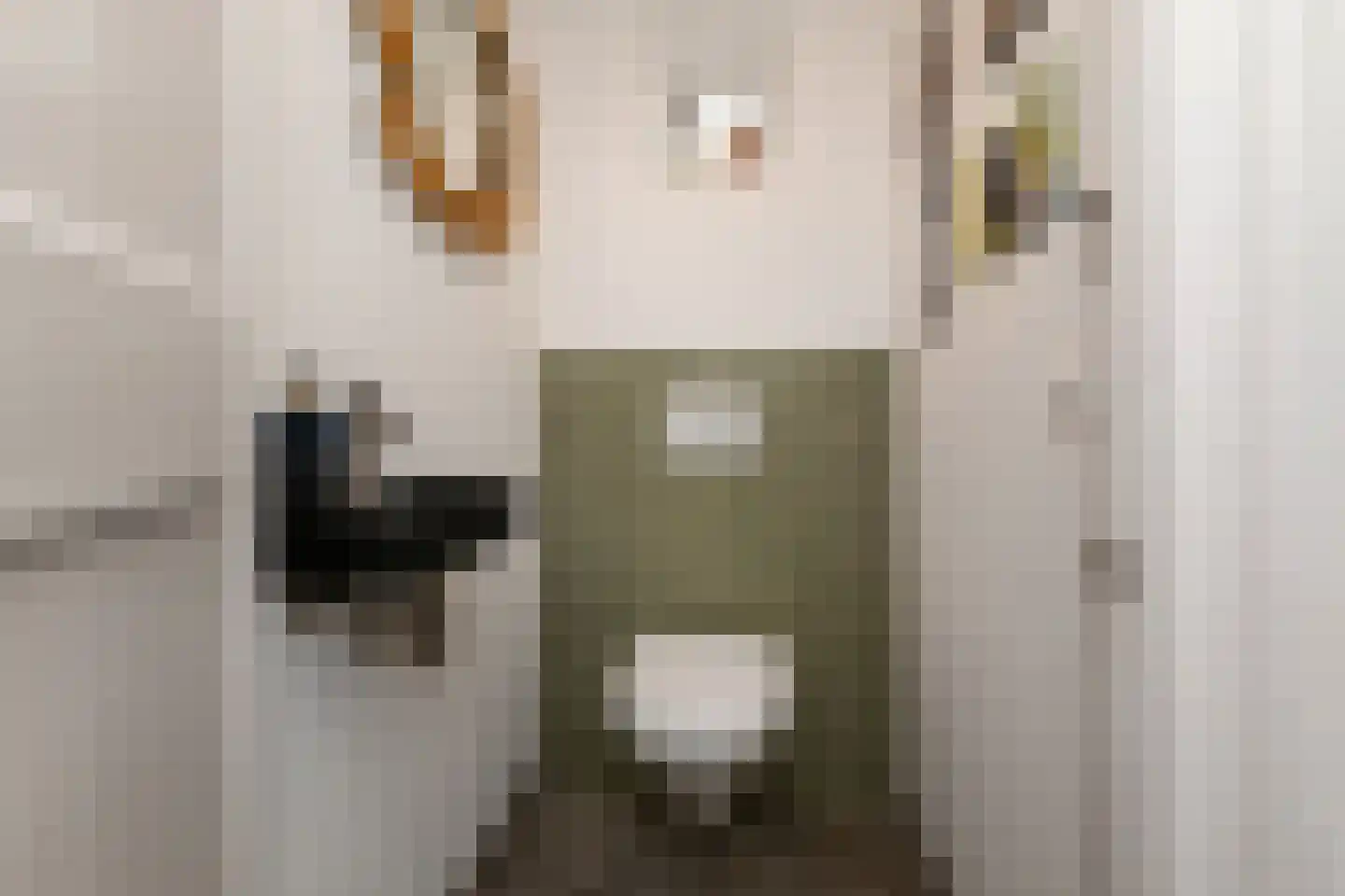 Horstlaan 6 Voorschoten thumbnail 21