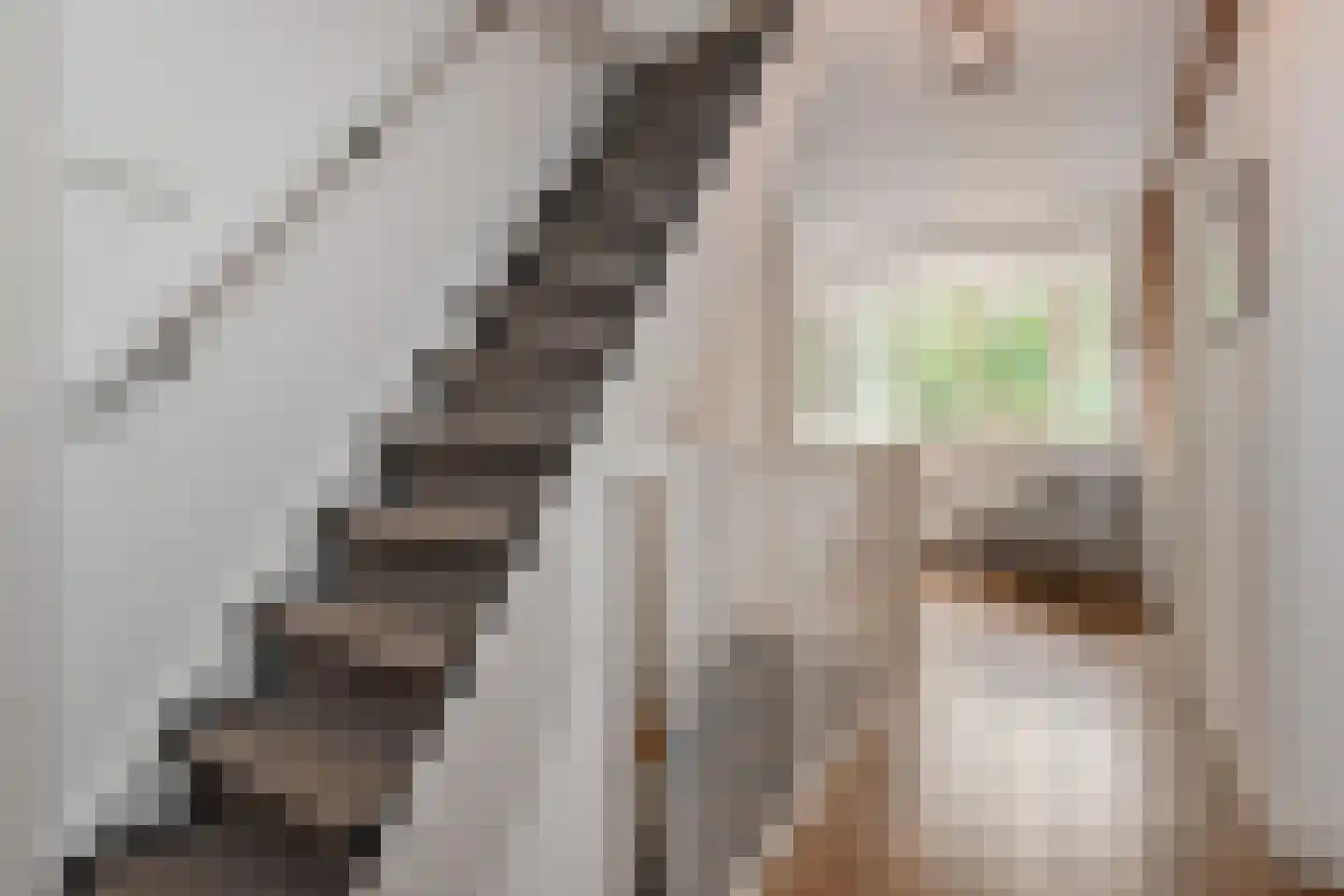 Horstlaan 6 Voorschoten thumbnail 22