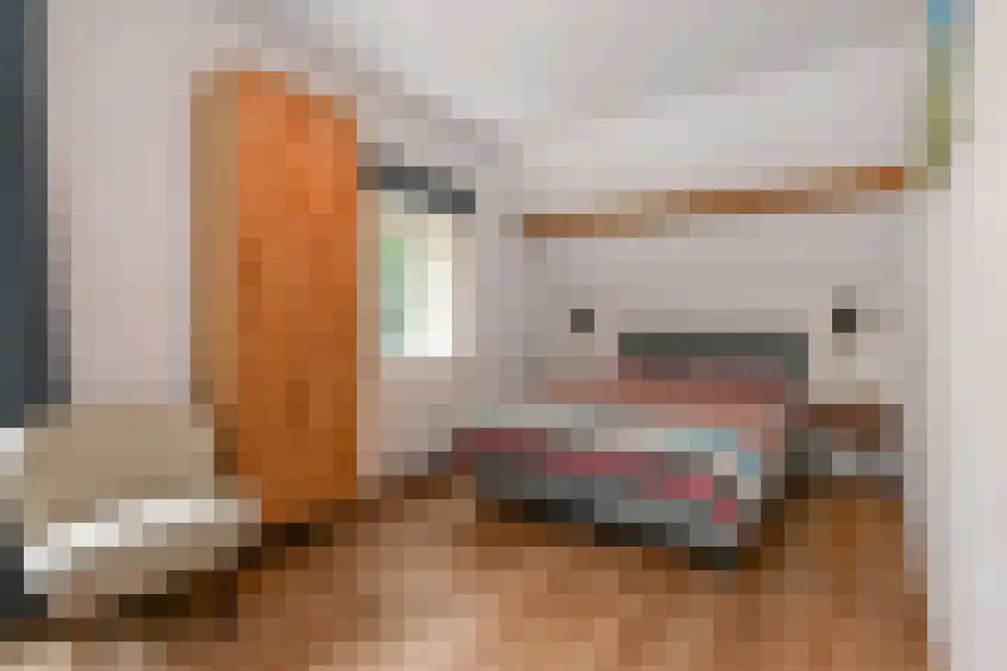 Horstlaan 6 Voorschoten thumbnail 24