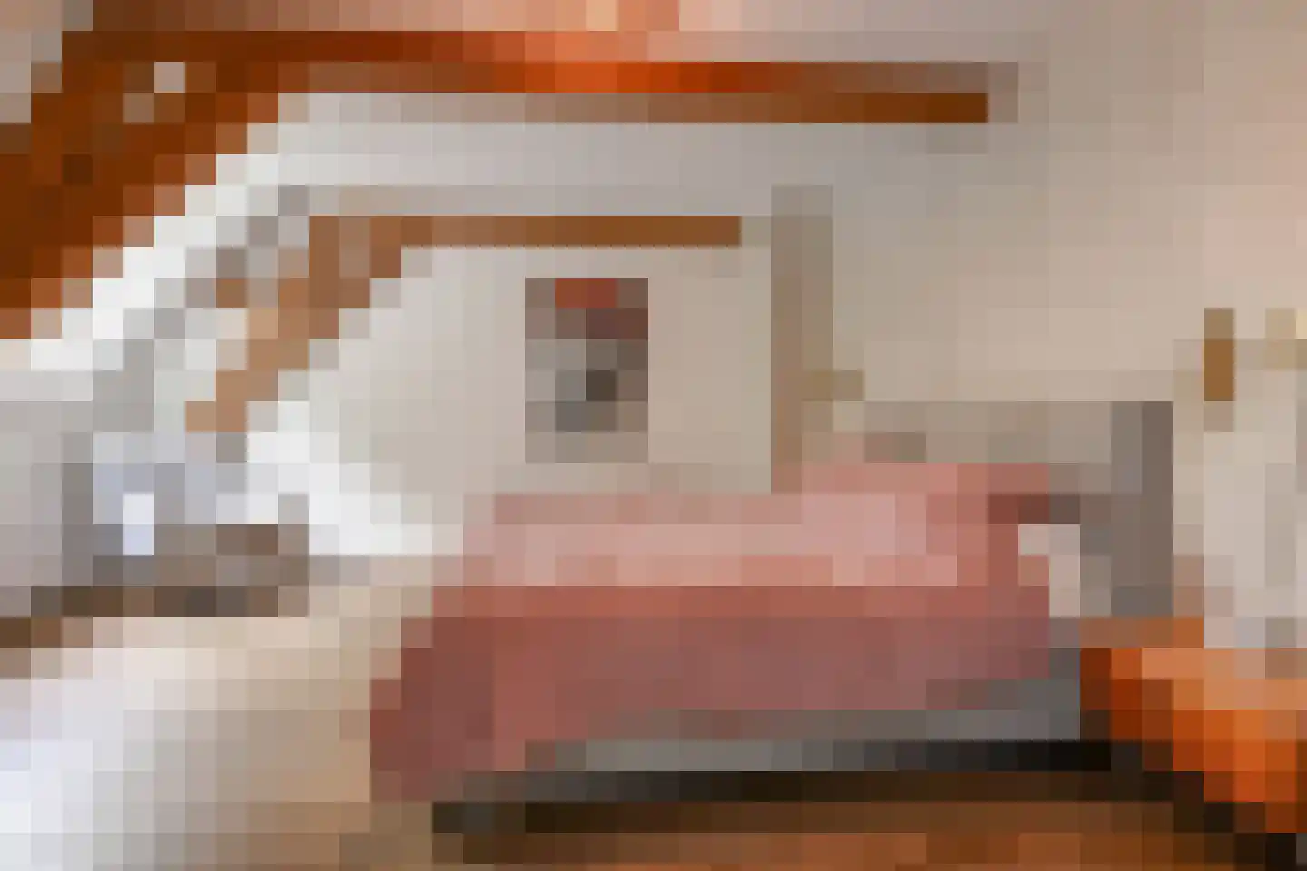 Horstlaan 6 Voorschoten thumbnail 28