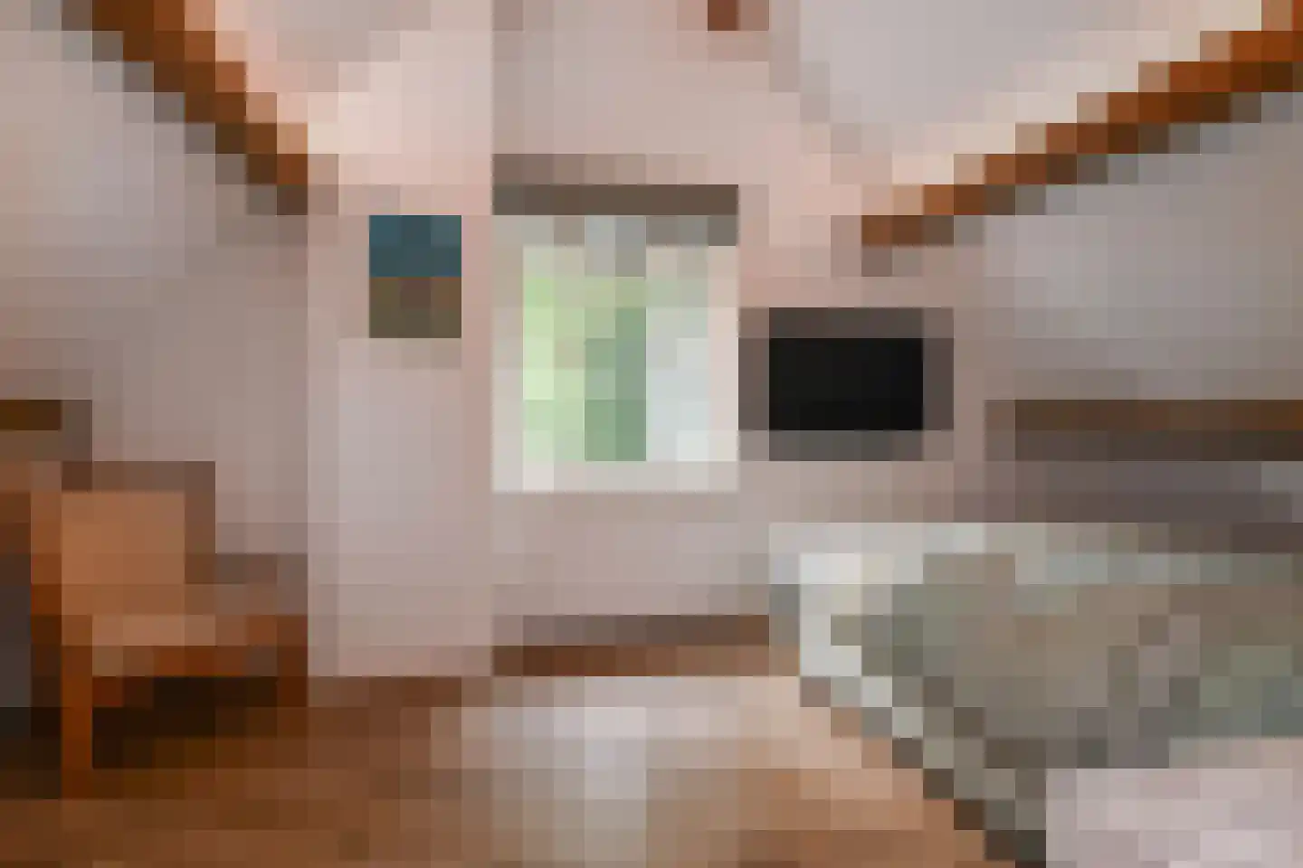 Horstlaan 6 Voorschoten thumbnail 36