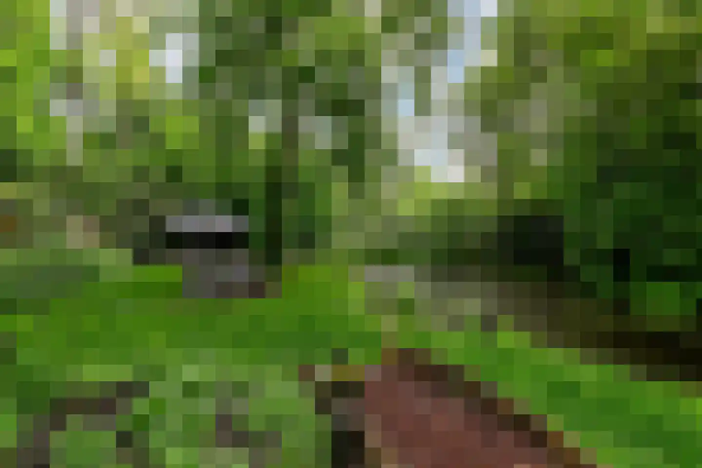 Horstlaan 6 Voorschoten thumbnail 45