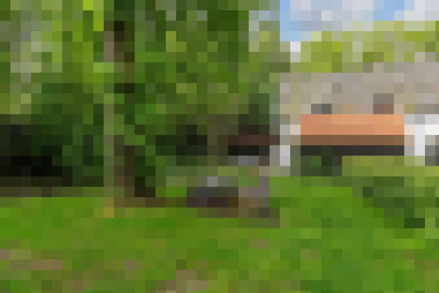 Horstlaan 6 Voorschoten thumbnail 46