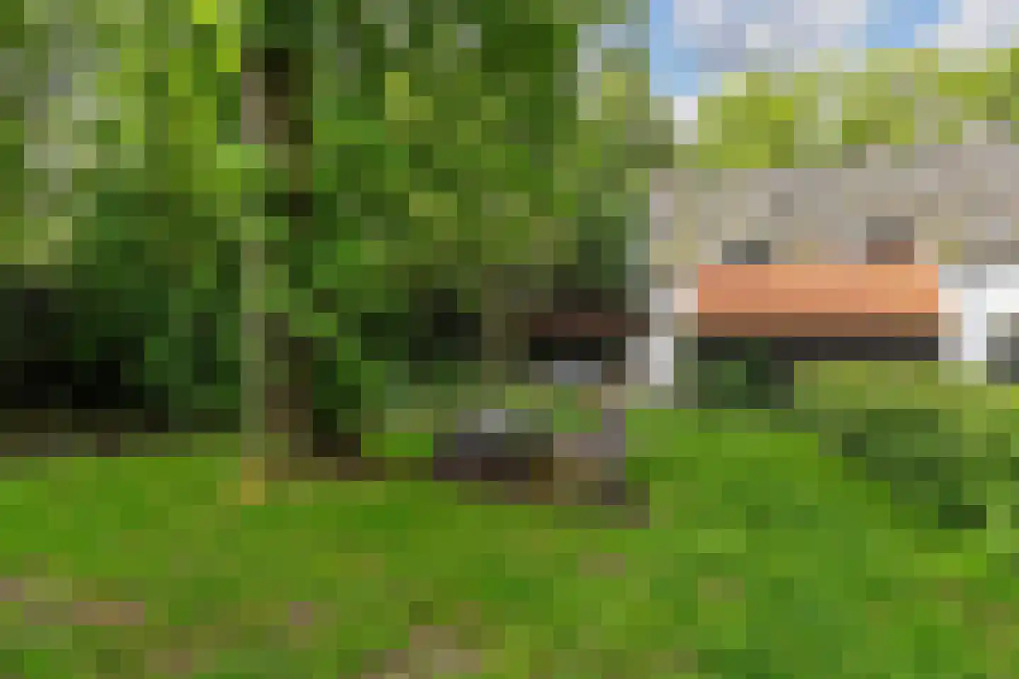 Horstlaan 6 Voorschoten thumbnail 47