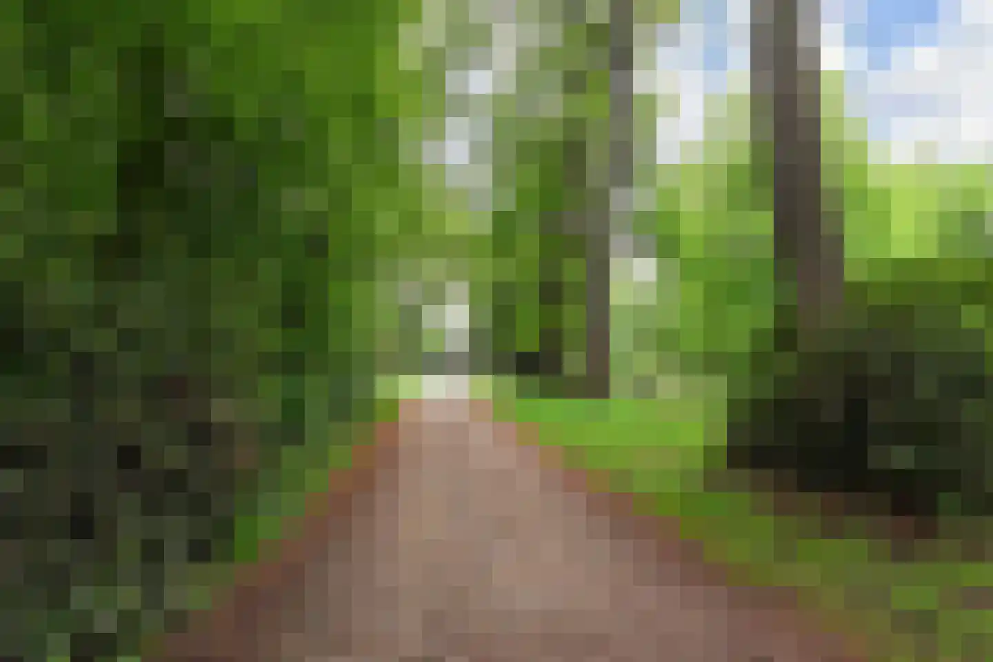 Horstlaan 6 Voorschoten thumbnail 48