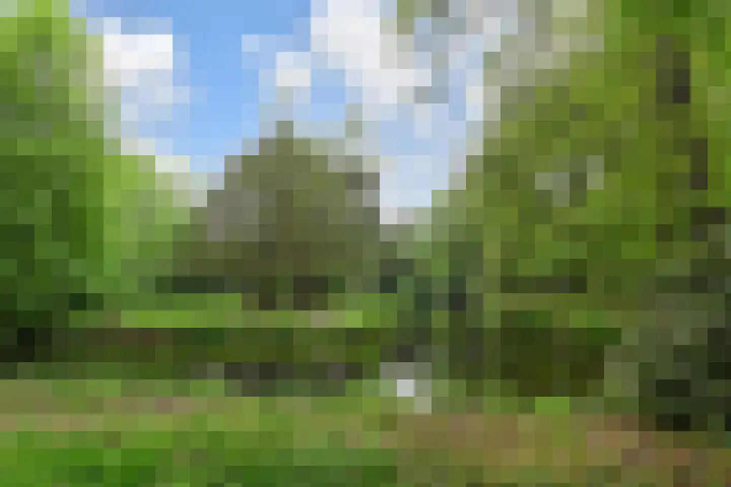 Horstlaan 6 Voorschoten thumbnail 50