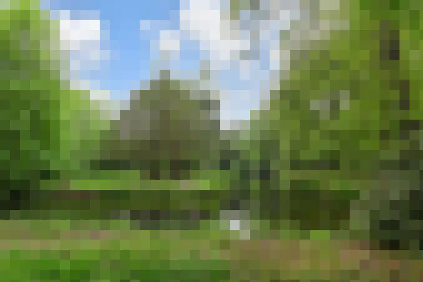 Horstlaan 6 Voorschoten thumbnail 50
