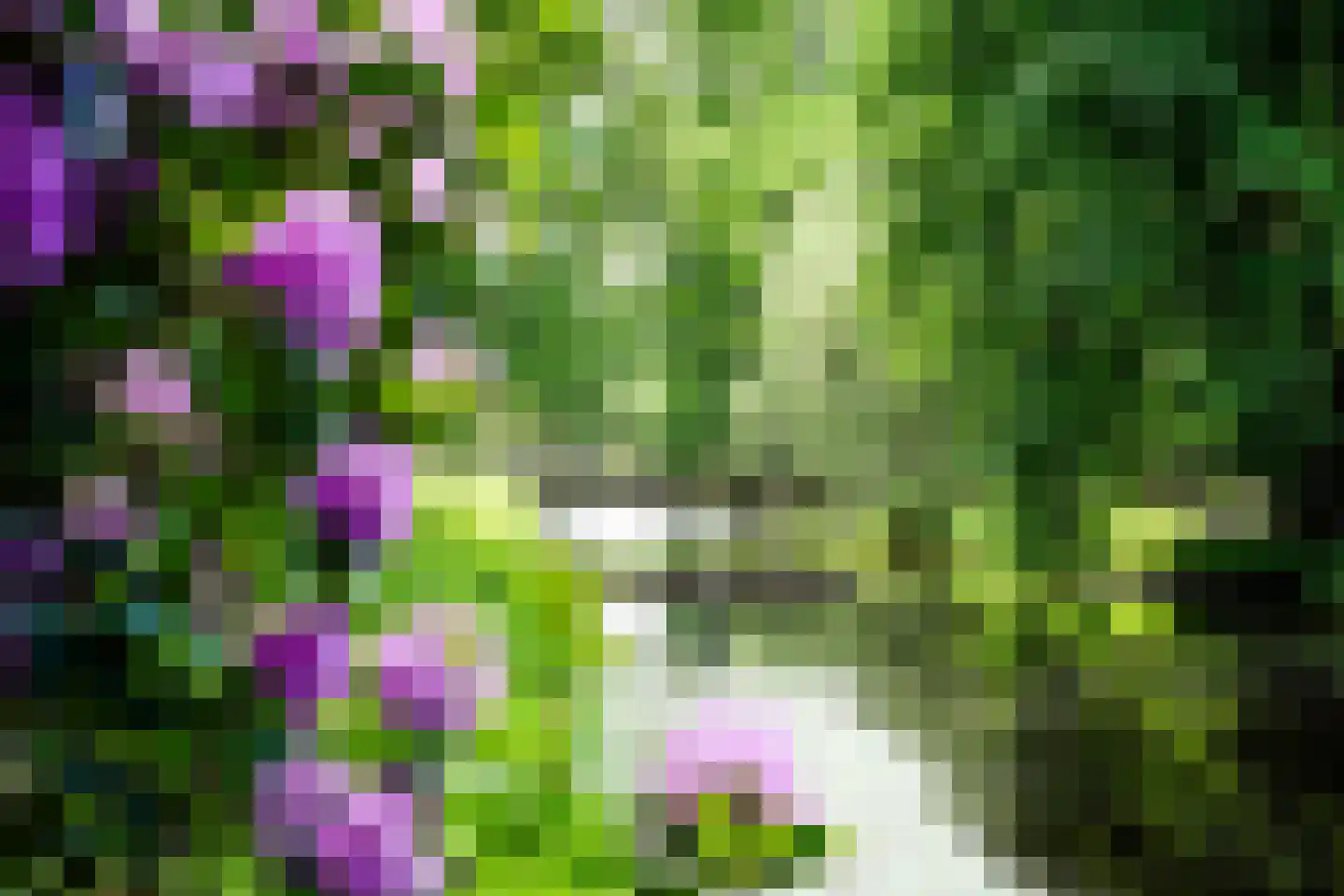 Horstlaan 6 Voorschoten thumbnail 51