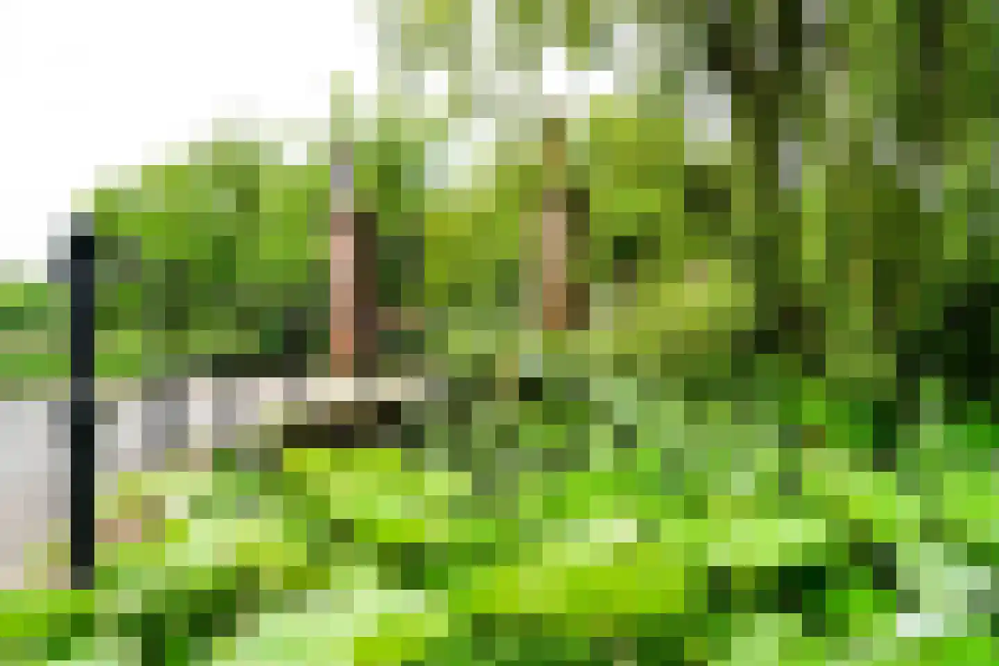 Horstlaan 6 Voorschoten thumbnail 52