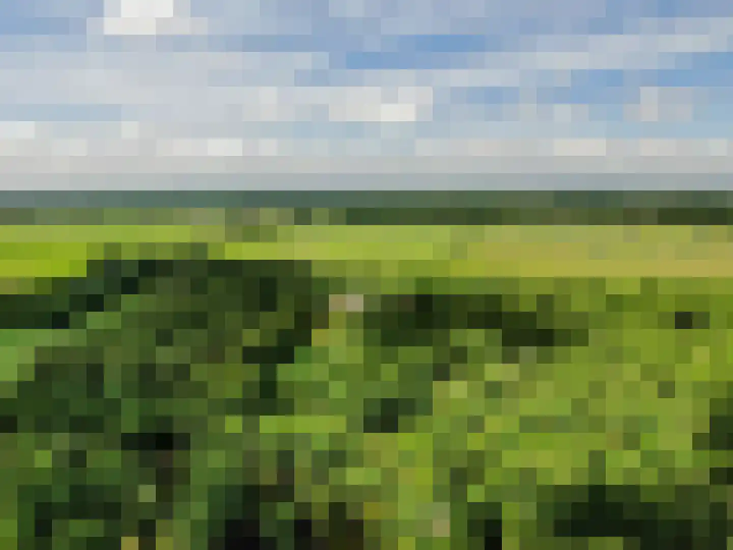 Horstlaan 6 Voorschoten thumbnail 54