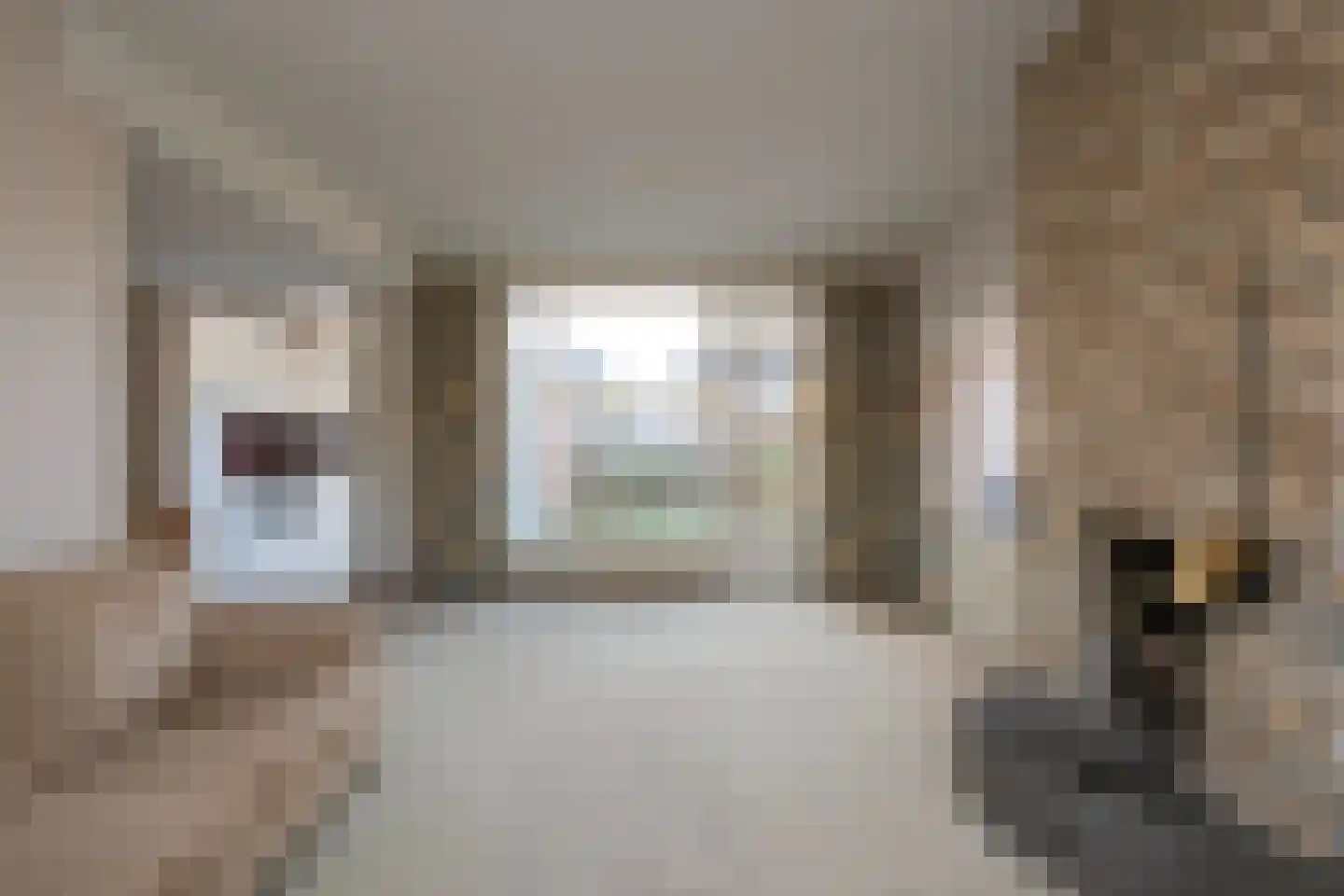 Horstlaan 68 Almelo thumbnail 8