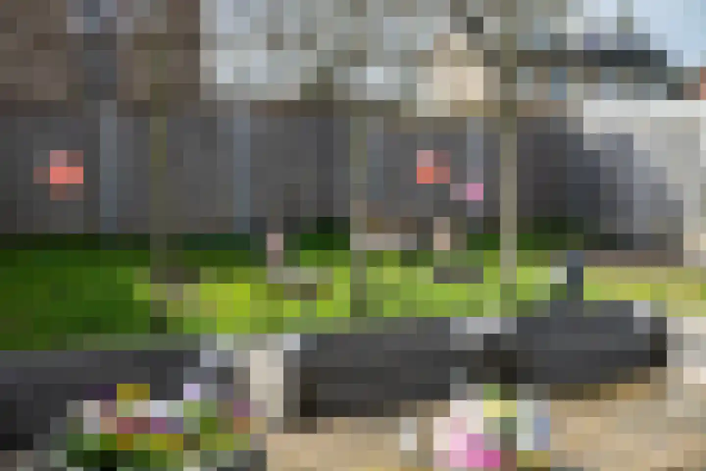Horstlaan 76 Almelo thumbnail 29