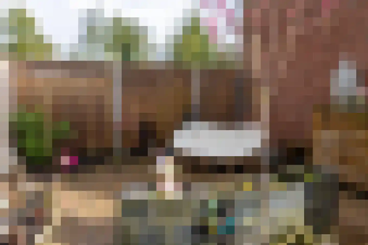 Horstlaan 76 Almelo thumbnail 30
