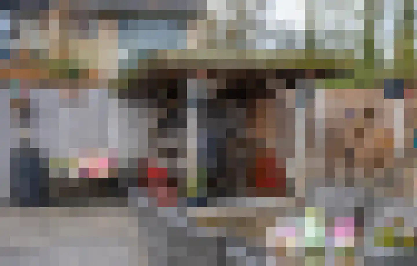 Horstlaan 76 Almelo thumbnail 31