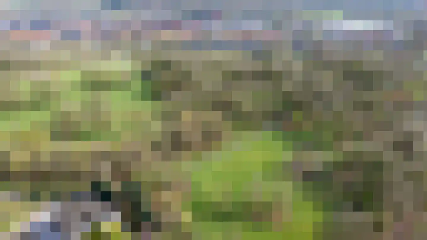 Horstlaan 76 Almelo thumbnail 39