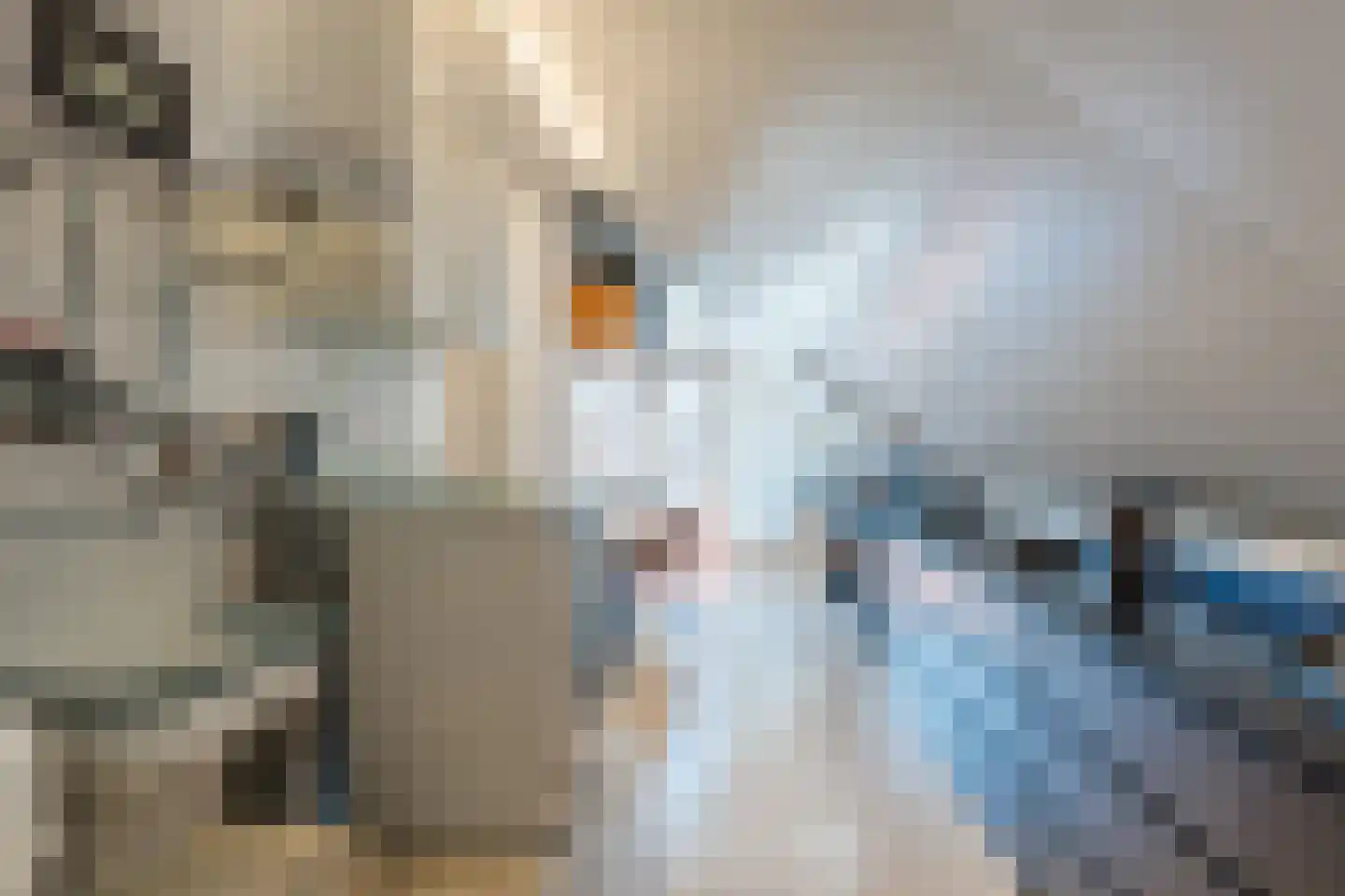 Horstlaan 9 Bodegraven thumbnail 37