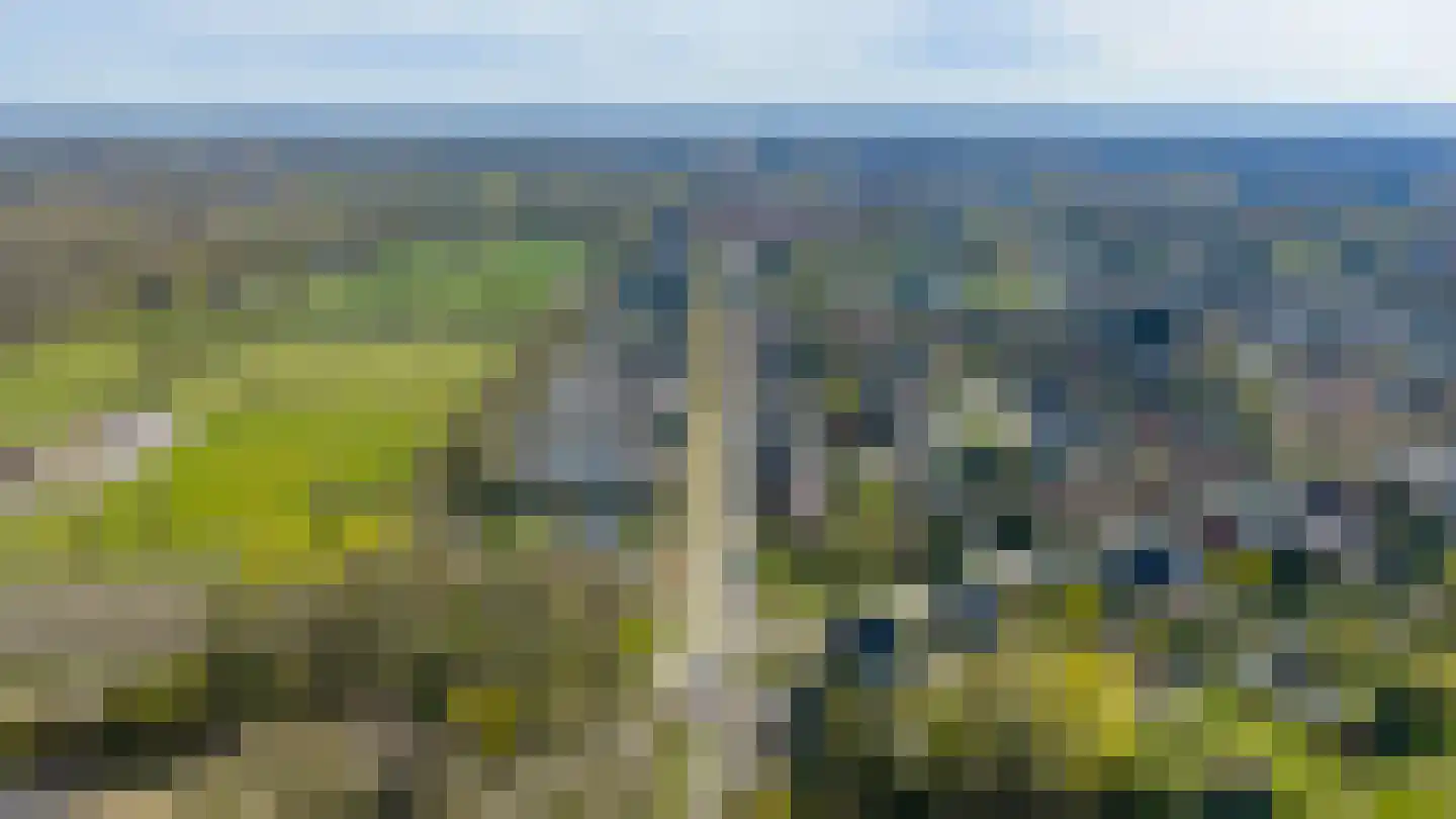 Horstlindelaan 110 Enschede thumbnail 35