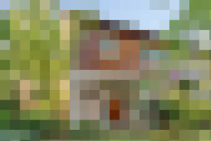 Horstlindelaan 165 in Enschede