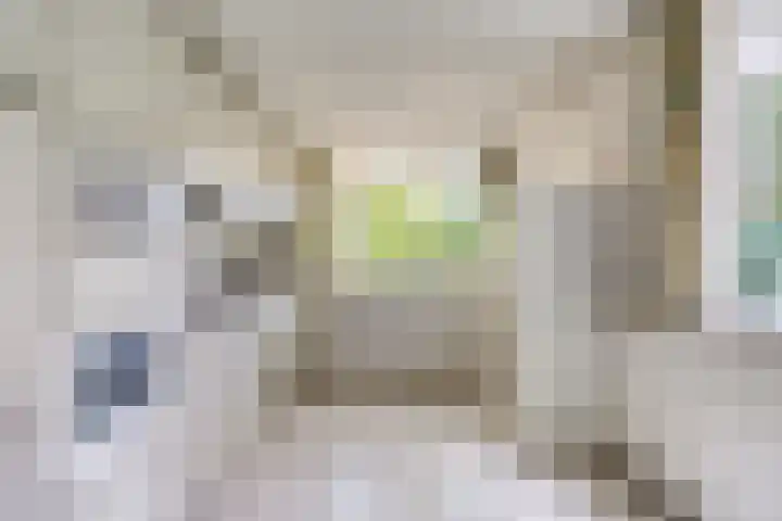 Horstlindelaan 165 Enschede thumbnail 15