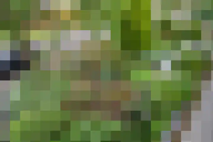 Horstlindelaan 165 Enschede thumbnail 28